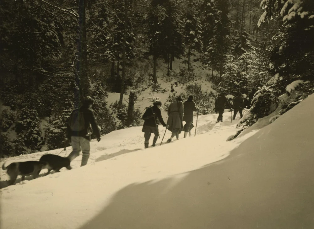 Going hunting in Życzanów